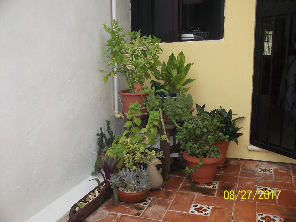 Villa La Casa del Chac Mérida Esterno foto